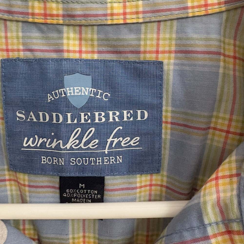 Saddlebred - Picture 2 of 3